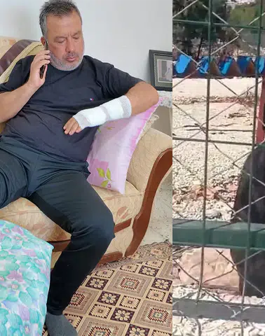 Rottweiler Faciası: Sahipli Rottweiler Sokakta Dehşet Saçtı!