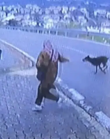 Durakta Köpek Saldırısı Dehşeti: 11 Yaşındaki Çocuk Yaralandı