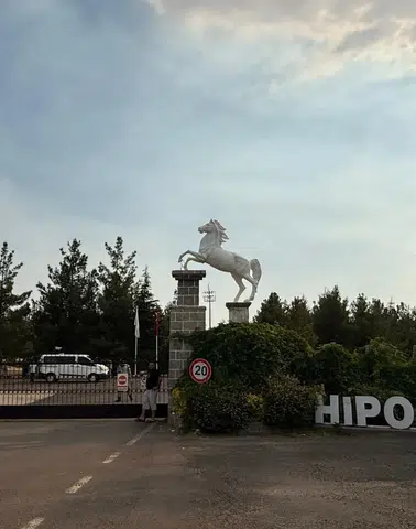 Halı Sahada Başladı, 3 İle Sıçradı! Hipodromlar Kan Gölüne Döndü: 13 Yaralı!