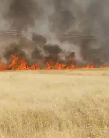 Şanlıurfa'da Korkutan Yangın! Dönümlerce Ekili Alan Bir Anda Küle Döndü