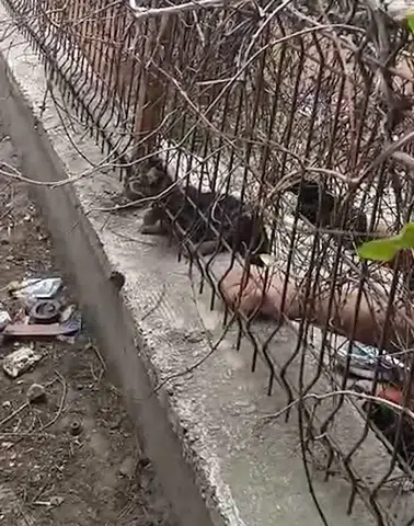 Kırıkkale'de İtfaiyeciden Vatandaşa Olay Yanıt! "İşimizi Yapalım"