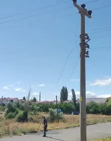 Şarkışla'da Korku Dolu Anlar! Fırtına Ağacı Devirdi, Alevler Yüksel
