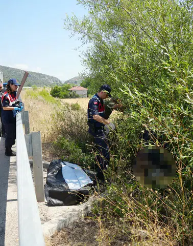 Kastamonu'da Vur-Kaç Dehşeti: Ağaç Altında Cansız Bedeni Bulundu!
