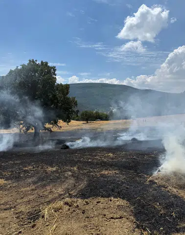 Bolu’da Balya Makinesinden Çıkan Yangın Tarlayı Küle Çevirdi