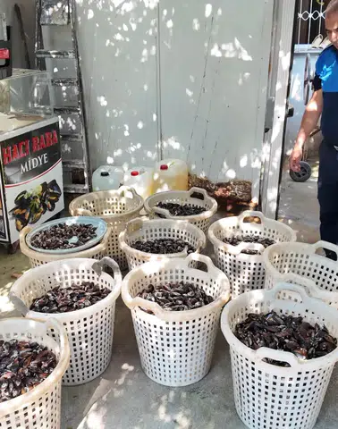 Mersin'de Skandal Baskın: Gazete Kağıdıyla Pişirilen Midyeler Yakalandı!