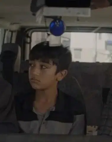 Türkiye'nin Oscar adayı açıklandı! 'Kesilmiş Bir Ağaç Gibi' filmi Oscar adayı