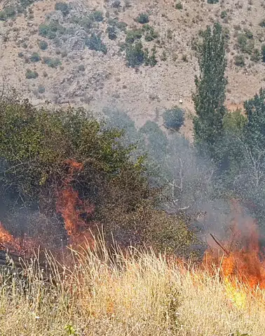 Malatya'da Bağ ve Bahçe Yangını! Çok Sayıda Meyve Ağacı Kül Oldu