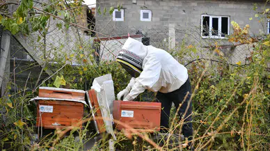 Kovan Sizden Arı Bizden: Üreticiye Destek Verimi Artırıyor