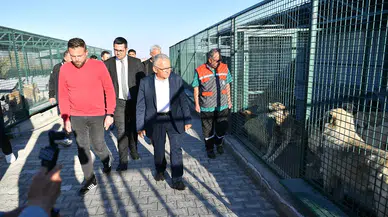 Kayseri Büyükşehir, Sahipsiz Hayvanlara Şefkat Eli Uzattı