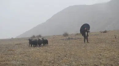 Dağda Mahsur Kalan 11 Keçi Nefes Kesen Operasyonla Kurtarıldı