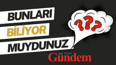 Bunu Biliyor muydunuz? Günlük Alışkanlıkların Ardındaki Şaşırtıcı Bilgiler