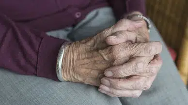 TÜİK Verileri: Evler Küçülüyor, Tek Kişilik Hane Sayısı Zirvede