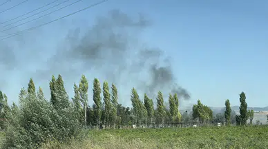 Bayat Gediği’nde Korkutan Yangın: İtfaiye Büyümeden Söndürdü