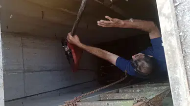 Namaz İçin İndi, Yavru Kedinin Hayatını Kurtardı: "Fark Etmeseydik Hayvan Ölecekti"