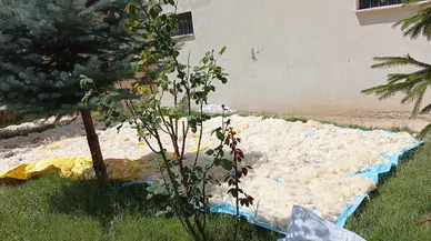 Elyafa İnat Yün Kullanıyorlar: Sivaslı Kadınların Zorlu Kış Hazırlığı