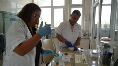 Sivas’ı da Kapsıyor! Hayvan Hastalıklarına Karşı 9 İlde Alarm Sistemi