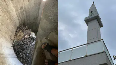 Merkezi Ezan Sistemi Sonrası Minarelerde Kuş İstilası