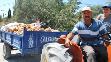 Türkiye'de Korkutan Ekmek İsrafı: Günde 6 Milyon Adet Çöpe Gidiyor