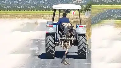 Köpeği Traktörün Arkasına Bağlayıp Sürükledi, Gözaltına Alındı