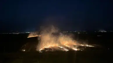 Osmaniye’de Mısır Tarlasında Anız Yangını: İtfaiye Ekipleri Alevleri Kontrol Altına Aldı