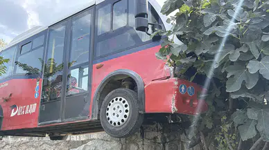 Düzce'de Köpekleri Ezmemek İçin Direksiyon Kıran Şoför Bahçeye Daldı
