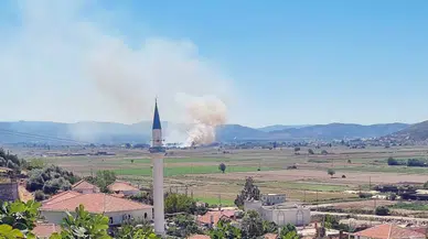 Milas’ta Sazlık ve Otluk Alanda Çıkan Yangın Kontrol Altında