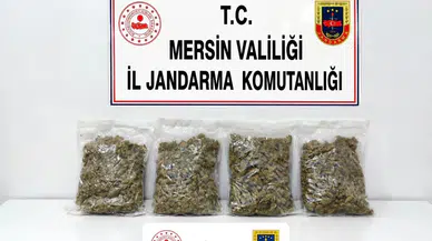 Mersin'de Jandarmadan Narko Baskın! 2 Kilo Esrar Ele Geçirildi, 2 Şüpheli Yakalandı