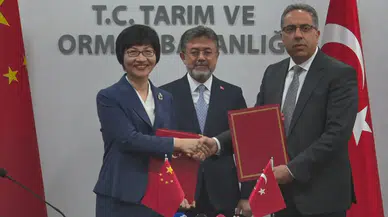 Türkiye'nin Defne Yaprağı İhracatı 60 Milyon Dolara Ulaştı