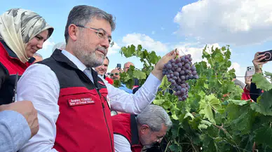 Üzüm Üretiminde Tarihi Rekor: Bakan Yumaklı Açıkladı