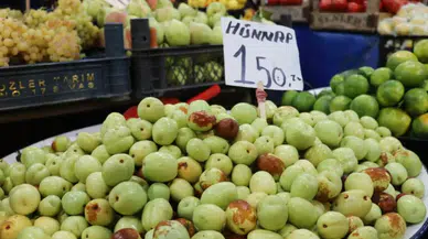 Sivas’ta pazarda "doktor" diye satılıyor, bu meyveyi yiyen iyileşiyor...