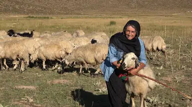 Çobanlık Yapan Özlem’in Hayali Kendi İşinin Patronu Olmak