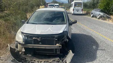Aydın Bozdoğan’da Yola Çıkan Köpek Zincirleme Kazaya Yol Açtı: Biri Çocuk 2 Yaralı!