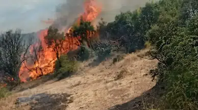 Dibekli Köyü Yakınlarında Yangın! Soğutma Çalışmaları Sürüyor