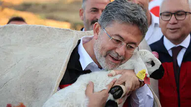 Bakan Yumaklı Sivas’ta Bal Sağdı: Hedef Dünya Birinciliği