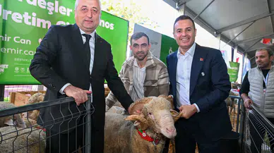 Sivas Kangal Koyunu Balıkesir Tarım Fuarı'nda Göz Doldurdu