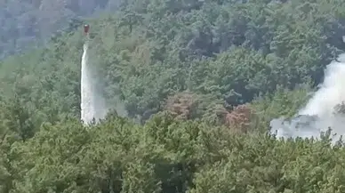 Adana Kozan’da Yürekler Ağza Geldi: Kontrol Altına Alınan Ormanlık Alanda Yeniden Yangın Çıktı!