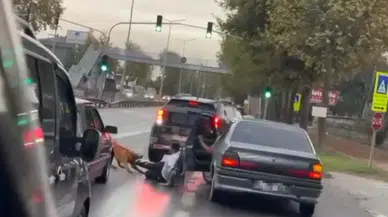 Başıboş Köpek Dehşeti: Yolda Yürüyen Vatandaşa Saldırdı