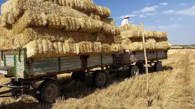 Sivas’ta Saman Fiyatları El Yakıyor: Besiciler Zor Durumda