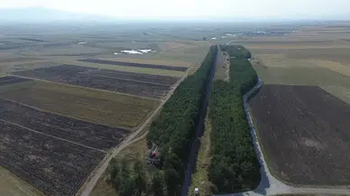 Kars Selim'deki Benliahmet İstasyonu'nun Yeşil Mirası Gündemde