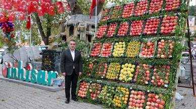 Bilecik'te Nar Üretiminin Lideri Belli Oldu! 4 Bin 514 Ton