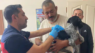 Evcil Hayvan Sahiplerine Çağrı! Mikroçip ve Kuduz Aşısı