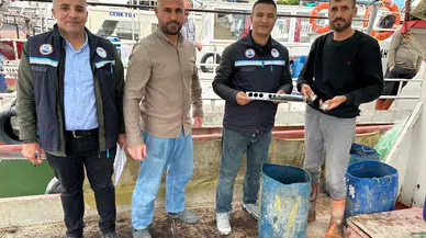 Van'da Balıkçılara Sıkı Denetim: 700 Bin Yavru Sazan Bırakıldı