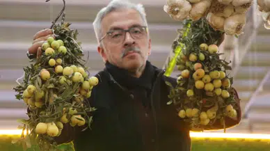Sivas’ta Üvez Bereketi Bu Yıl Azaldı: Kilosu 200 TL’den Satılıyor