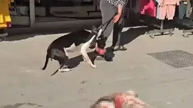 İstanbul'da Dehşet Anları Kamerada! Kadının Tepkisi Şaşırttı