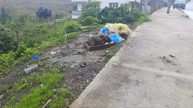 Sakarya’da Feci Kaza: Meva Yavuzyiğit Hayatını Kaybetti