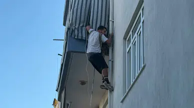 Cinnet Getiren Ev Sahibi Daireyi Yaktı: Kedileri Komşusu Kurtardı