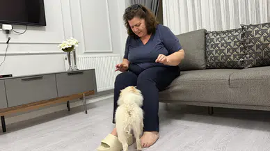 Panda Suratlı Köpek İstediler! Gelen Köpekle Hayatları Değişti