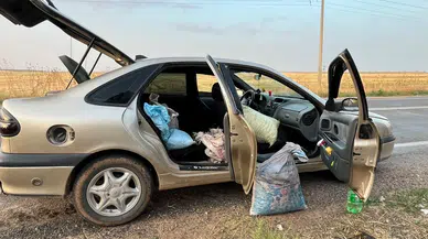 75 Kilo Fıstığı Çalarken Yakalandılar! Jandarma Suçüstü Yaptı