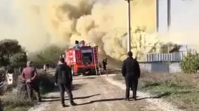 Sakarya’da Mobilya Dükkanında Yangın: Sarı Dumanlar Gökyüzünü Kapladı