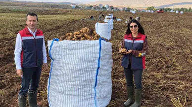 Sivas'ta Tohumluk Patatesler Mercek Altında! Kontroller Sürüyor